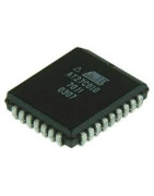 Memory Chips